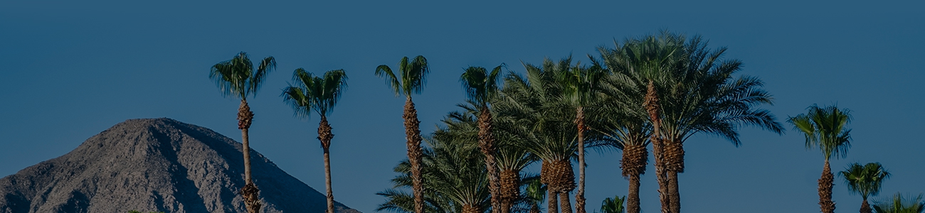 Photograph of Palm Springs