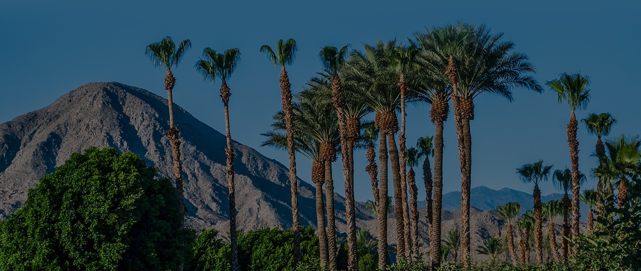 Photograph of Palm Springs